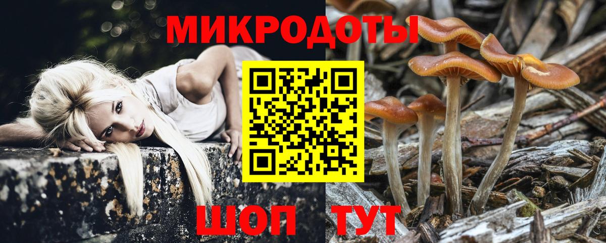 Галлюциногенные грибы мицелий  купить наркотик  Заречный  Вход с VPN 
