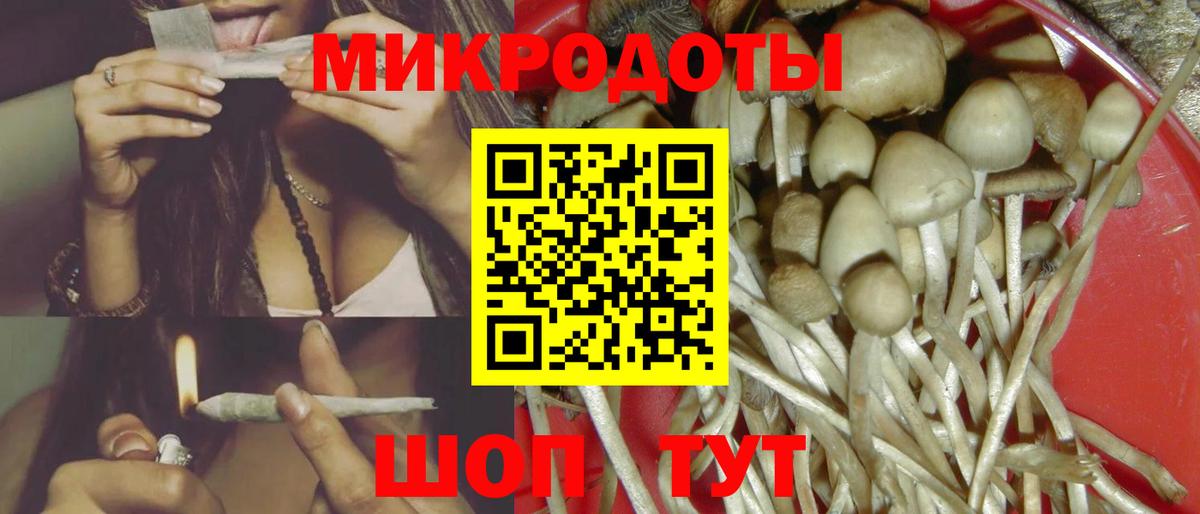 Псилоцибиновые грибы мицелий Заречный